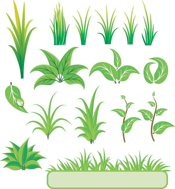 free vector Bamboo grass plant vector